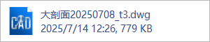 大剖面20250708_t3.dwg